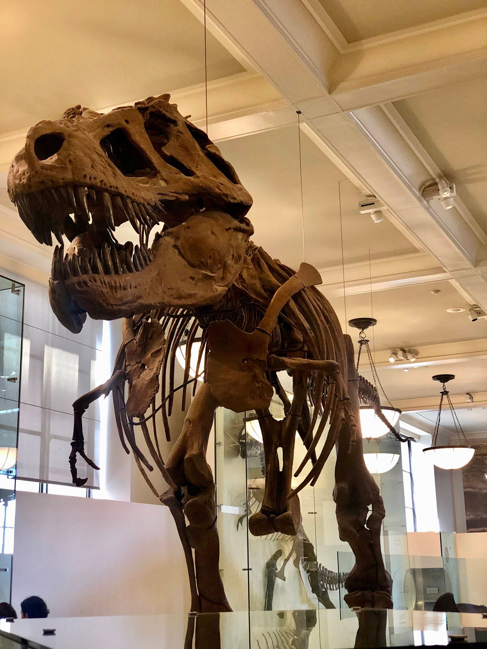 NYC museos NYC museos