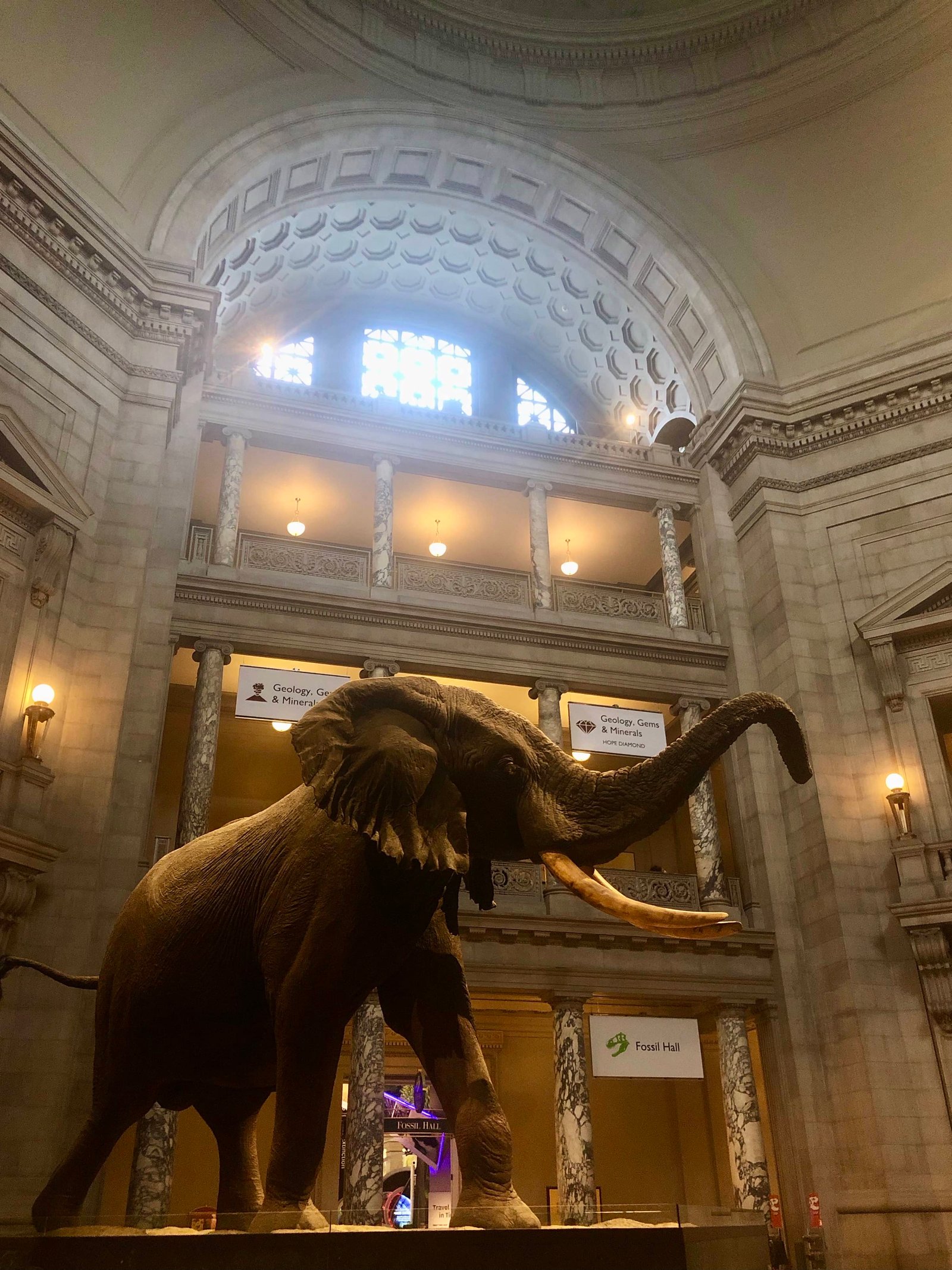 Smithsonian Smithsonian