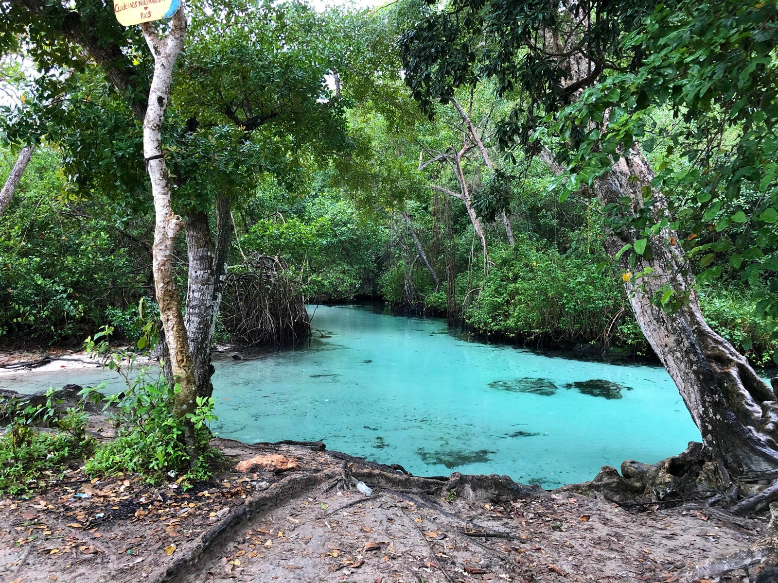 Caño frio Caño frio