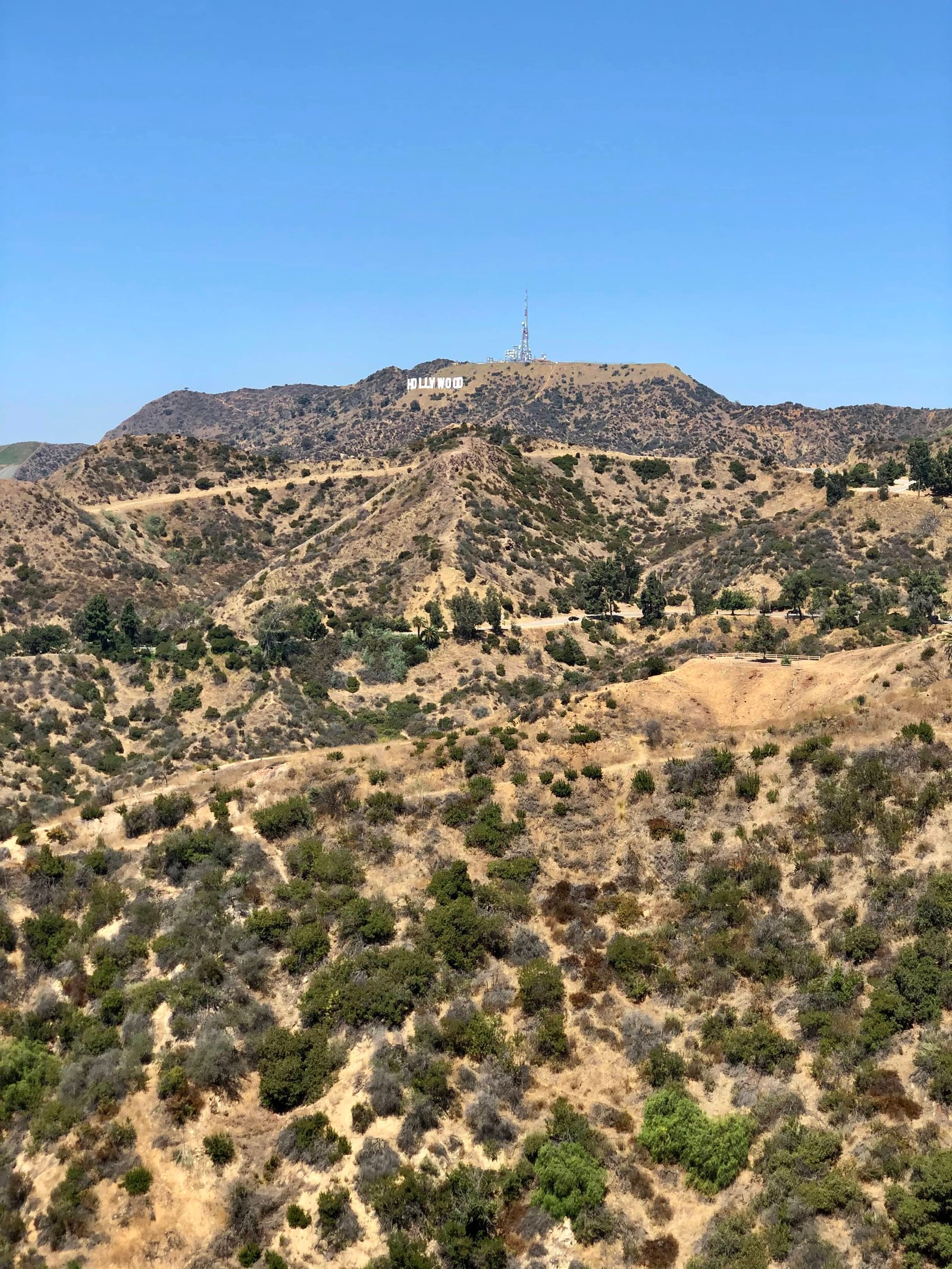 Hollywod Hollywod
