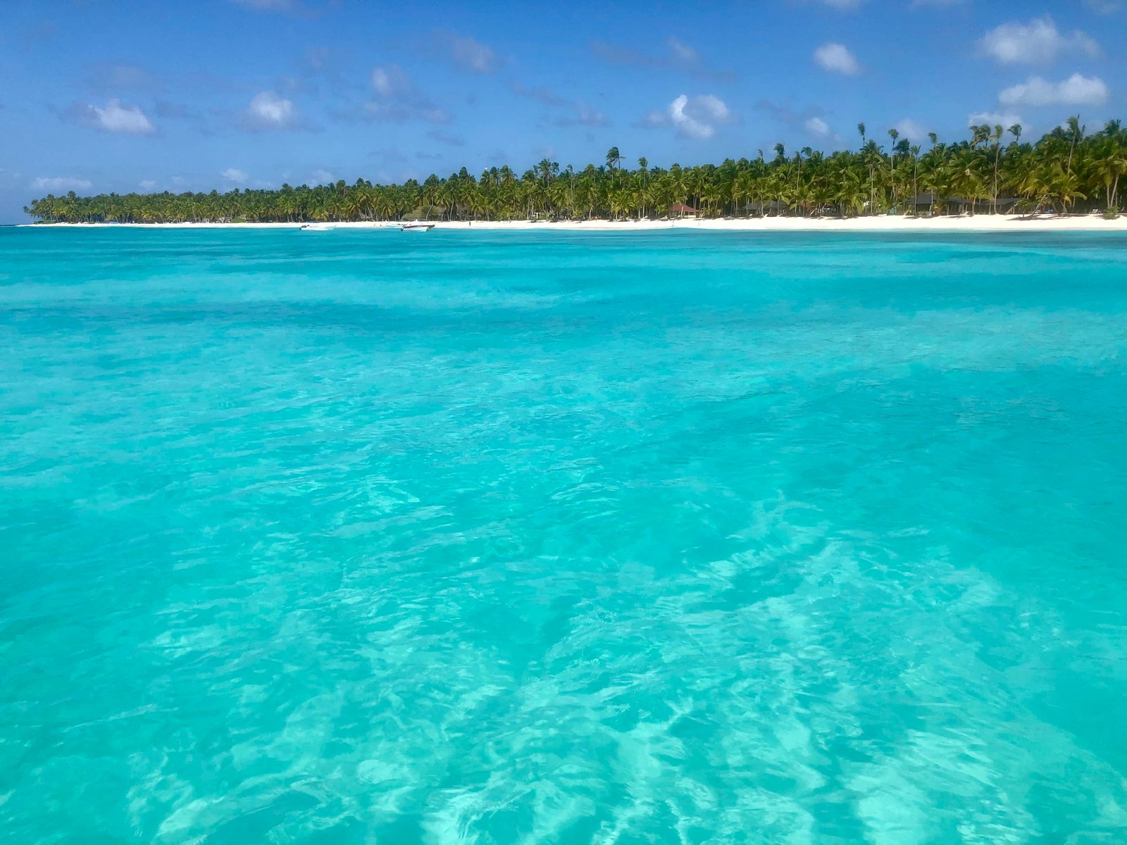 Isla Saona playa