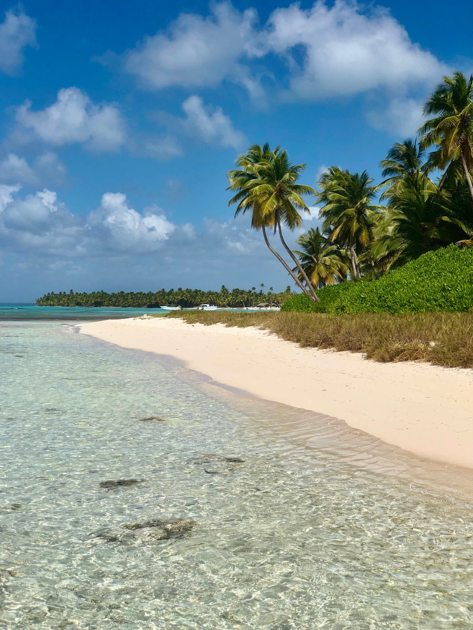 Isla Saona