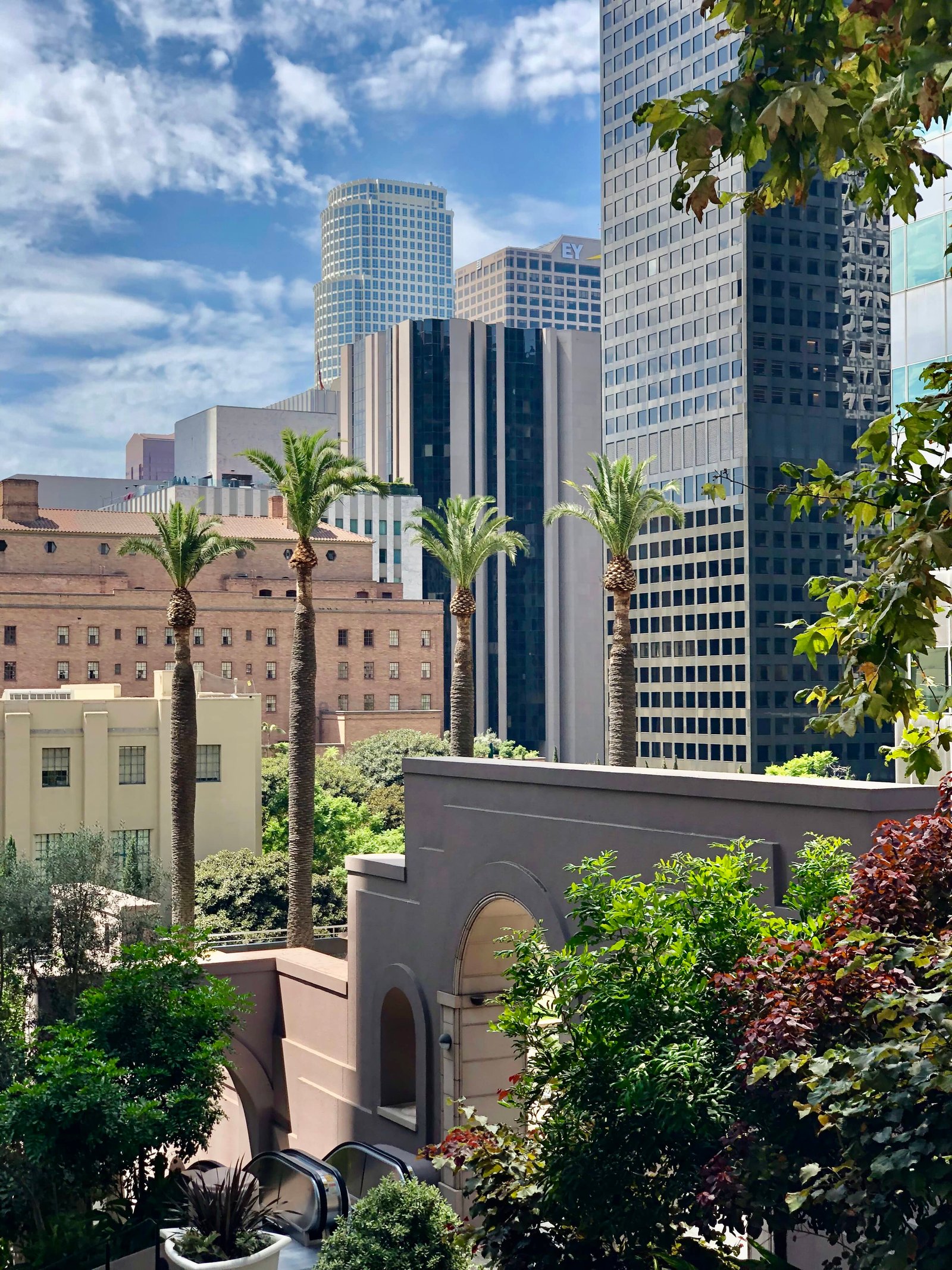 LA Down Town LA Down Town