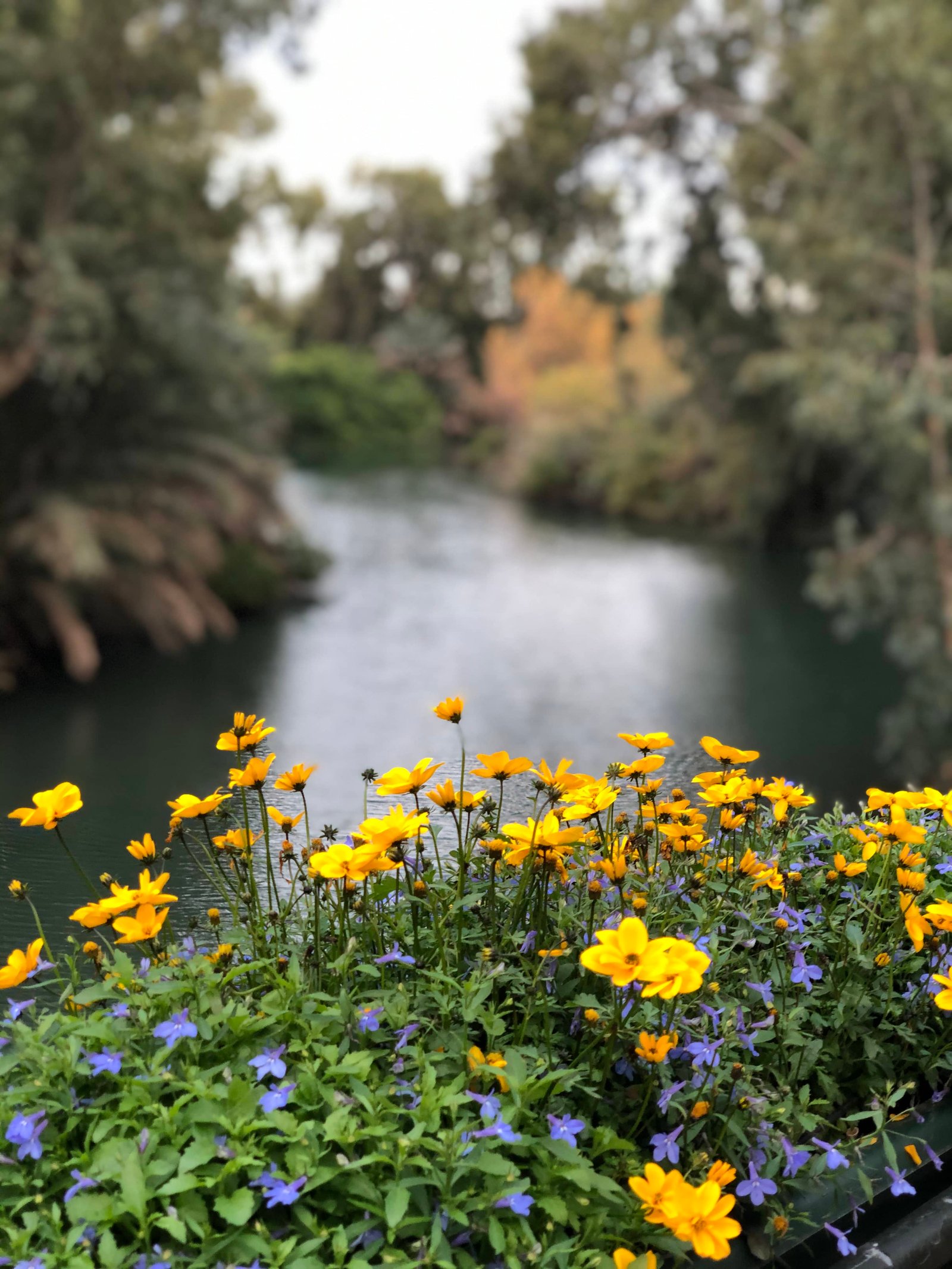 Rio Jordan