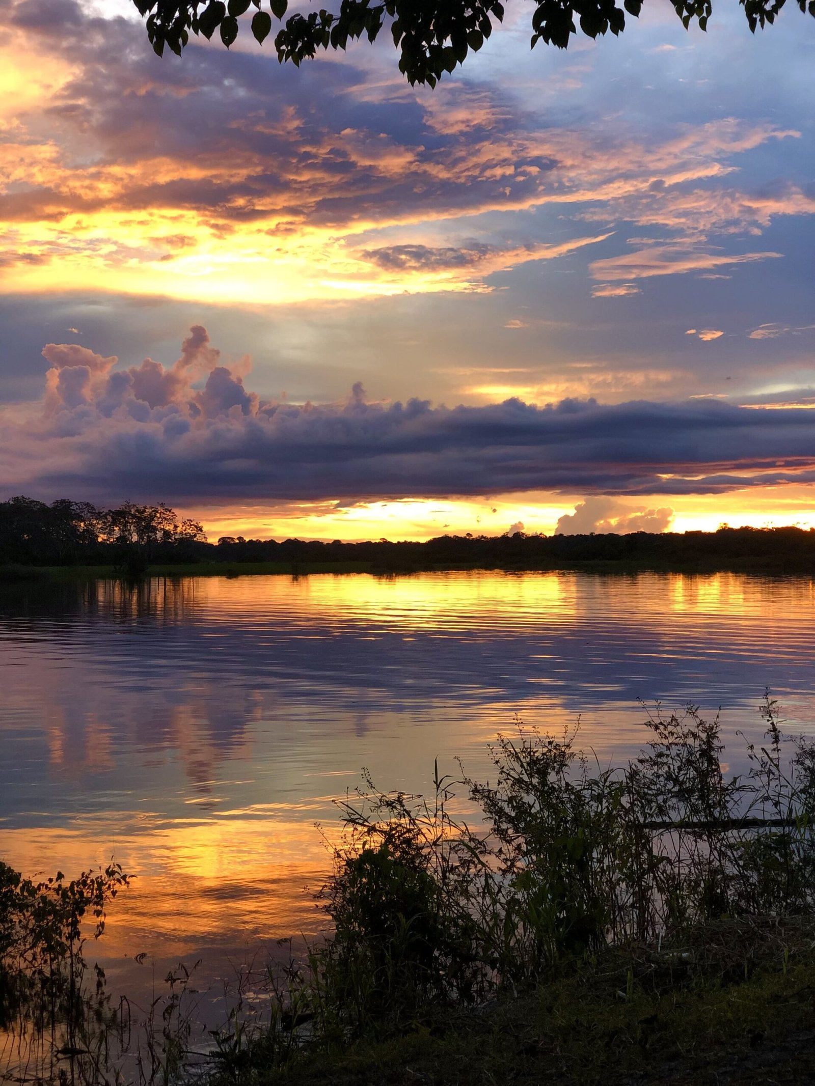 Atardecer Puerto Nariño Atardecer Puerto Nariño