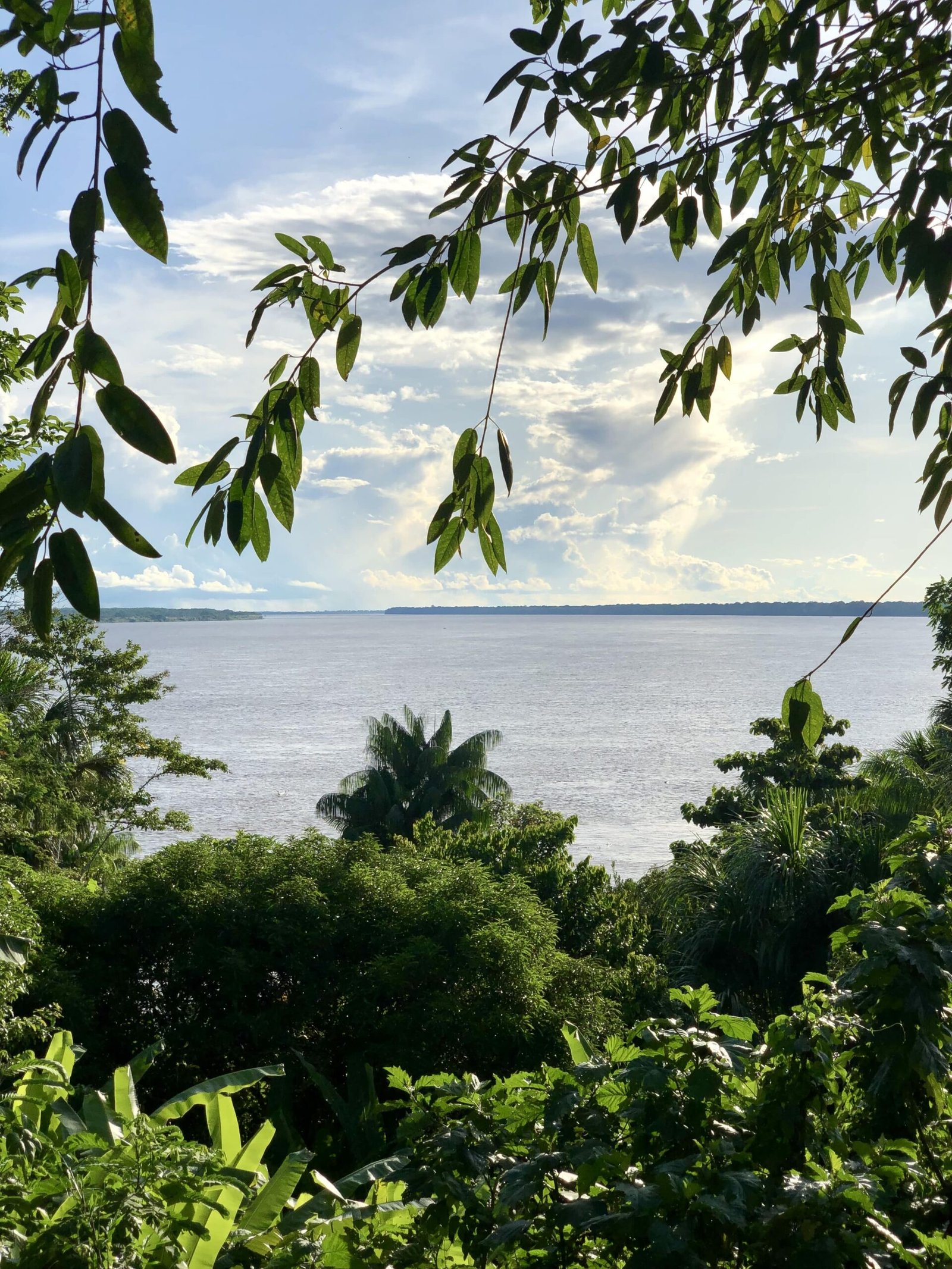 Rio Amazonas (2) Amazonas